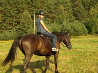 Refreshing equestrian skills