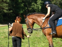 Riding lessons and training