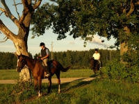 Horseback riding trail of introduction day