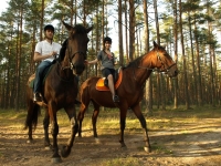 Explore and book this <a href="http://www.adventureride.eu/en/specials">horseback riding vacation</a>
