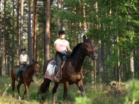 Explore and book this <a href="http://www.adventureride.eu/en/select-route/">horseback riding vacation</a>
