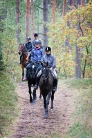 Explore and book <a href="http://www.adventureride.eu/en/select-dates/through_forests_and_beaches_of_adazi/">horseback riding vacations</a> in forests of Adazi