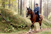 Take a part of Adventure and book <a href="http://www.adventureride.eu/en/select-dates/through_forests_and_beaches_of_adazi/">horseback riding vacations</a> in forests of Adazi