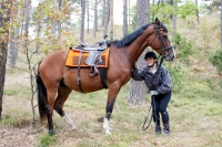 Explore and book your <a href="http://www.adventureride.eu/en/select-route">horseback riding vacations</a>