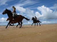 Freedom! Gallop on the beaches of Slitere National park in <a href="http://www.adventureride.eu/en/select-dates/empty_beaches_of_slitere_national_park/">horseback riding vacation</a>