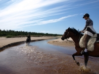 Sunny day on the beach with horses <a href="http://www.adventureride.eu/en/select-dates/empty_beaches_of_slitere_national_park/">horseback riding vacation</a in Slitere national park