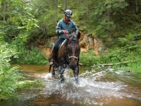 Wilderness and play on <a href="http://www.adventureride.eu/en/select-dates/through_the_rivers_of_gauja_national_park/">horseback riding vacation</a> in Gauja national park