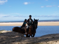 Sun, beach, horses... sounds like <a href="http://www.adventureride.eu/en/select-dates/empty_beaches_of_slitere_national_park/">horseback riding vacation</a> in Slitere National park
