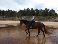 Enjoying dry feet on horseback on <a href="http://www.adventureride.eu/en/select-dates/through_forests_and_beaches_of_adazi/">horseback riding vacation</a> in Lilaste nature park